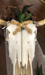 REAL Native Cow Skull-Spark Social