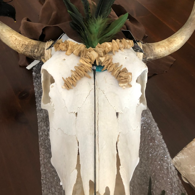 REAL Native Cow Skull-Spark Social