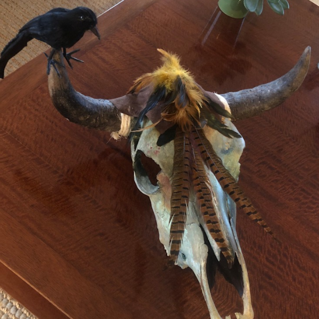 REAL Ravens Nest Cow Skull-Spark Social