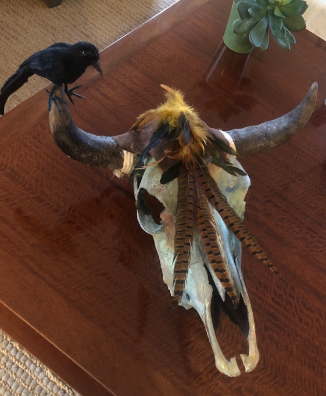 REAL Ravens Nest Cow Skull-Spark Social