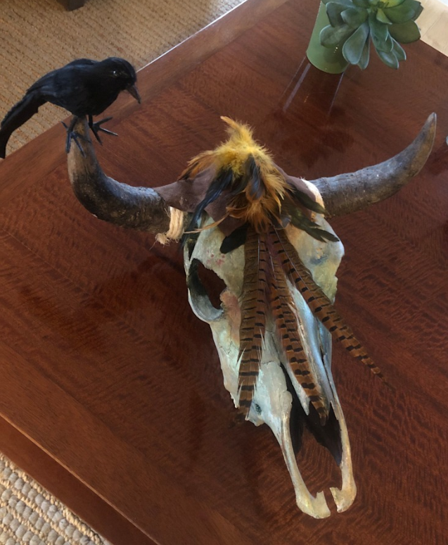 REAL Ravens Nest Cow Skull