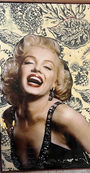 Monroe #12-Spark Social