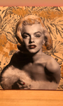 Monroe #6-Spark Social
