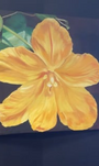 Original #4 - Flowering-Spark Social