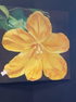 Original #4 - Flowering-Spark Social